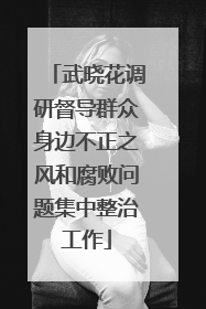 武晓花调研督导群众身边不正之风和腐败问题集中整治工作