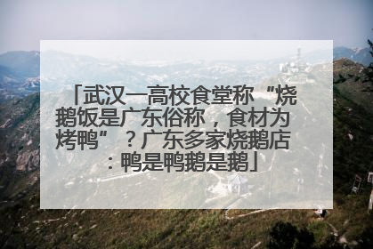 武汉一高校食堂称“烧鹅饭是广东俗称，食材为烤鸭”？广东多家烧鹅店：鸭是鸭鹅是鹅