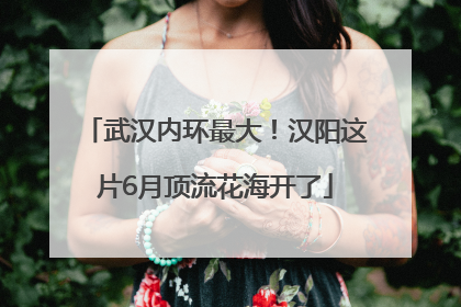武汉内环最大！汉阳这片6月顶流花海开了