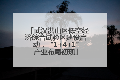 武汉洪山区低空经济综合试验区建设启动，“1+4+1”产业布局初现