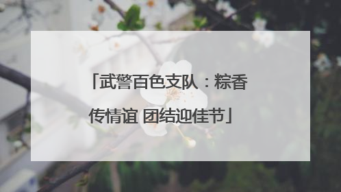 武警百色支队：粽香传情谊 团结迎佳节