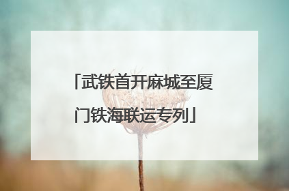 武铁首开麻城至厦门铁海联运专列