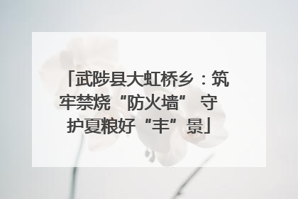 武陟县大虹桥乡：筑牢禁烧“防火墙” 守护夏粮好“丰”景