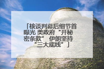 核谈判幕后细节首曝光 美政府“开秘密条款” 伊朗坚持“三大底线”