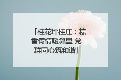 桂花坪桂庄：粽香传情暖邻里 党群同心筑和谐