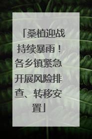 桑植迎战持续暴雨！各乡镇紧急开展风险排查、转移安置