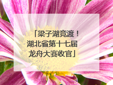 梁子湖竞渡！湖北省第十七届龙舟大赛收官