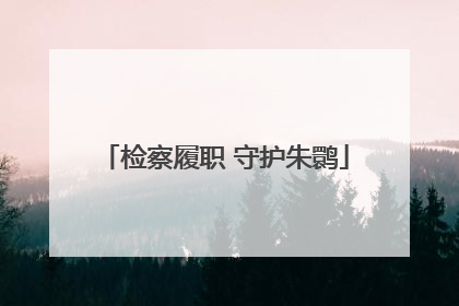 检察履职 守护朱鹮