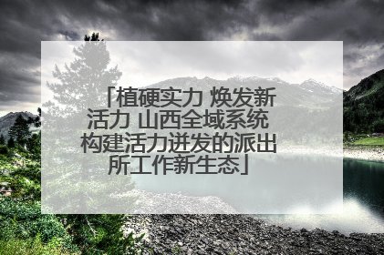 植硬实力 焕发新活力 山西全域系统构建活力迸发的派出所工作新生态