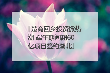 楚商回乡投资掀热潮 端午期间超60亿项目签约湖北