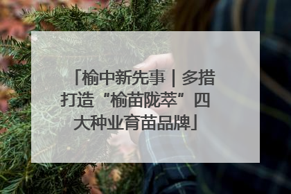 榆中新先事｜多措打造“榆苗陇萃”四大种业育苗品牌