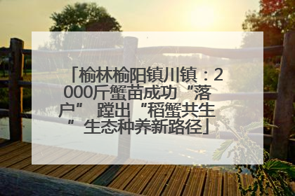 榆林榆阳镇川镇：2000斤蟹苗成功“落户” 蹚出“稻蟹共生”生态种养新路径