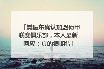樊振东确认加盟德甲联赛俱乐部，本人最新回应：真的很期待
