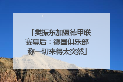 樊振东加盟德甲联赛幕后：德国俱乐部称一切来得太突然