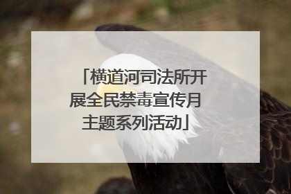 横道河司法所开展全民禁毒宣传月主题系列活动