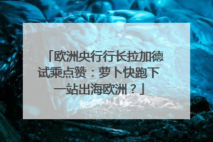 欧洲央行行长拉加德试乘点赞：萝卜快跑下一站出海欧洲？