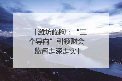 潍坊临朐：“三个导向”引领财会监督走深走实