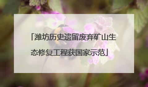 潍坊历史遗留废弃矿山生态修复工程获国家示范