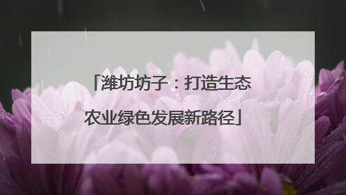 潍坊坊子：打造生态农业绿色发展新路径