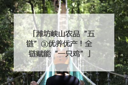 潍坊峡山农品“五链”③优养优产！全链赋能“一只鸡”