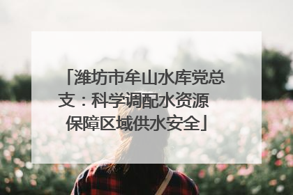 潍坊市牟山水库党总支：科学调配水资源 保障区域供水安全