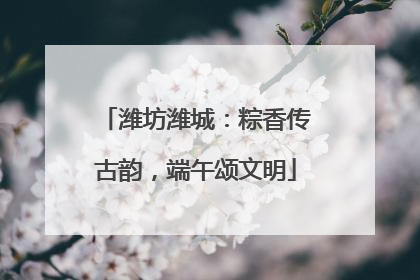 潍坊潍城：粽香传古韵，端午颂文明