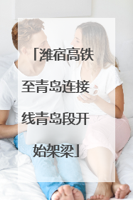 潍宿高铁至青岛连接线青岛段开始架梁