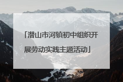 潜山市河镇初中组织开展劳动实践主题活动
