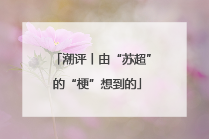 潮评丨由“苏超”的“梗”想到的
