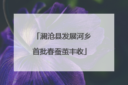 澜沧县发展河乡首批春蚕茧丰收