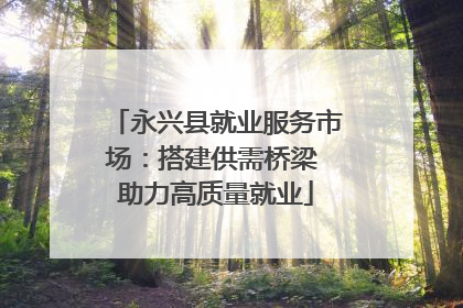 永兴县就业服务市场：搭建供需桥梁 助力高质量就业