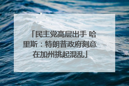 民主党高层出手 哈里斯：特朗普政府刻意在加州挑起混乱