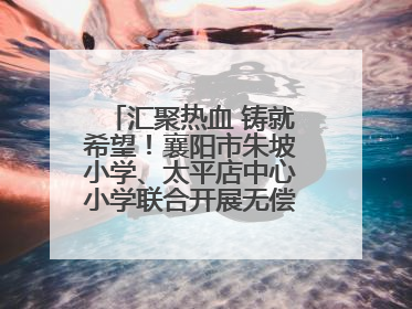 汇聚热血 铸就希望！襄阳市朱坡小学、太平店中心小学联合开展无偿献血活动