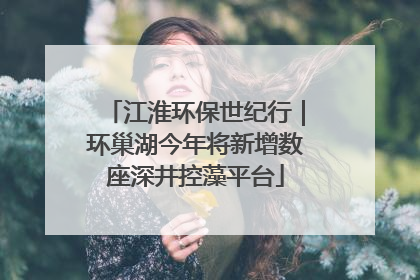 江淮环保世纪行｜环巢湖今年将新增数座深井控藻平台