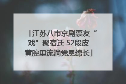 江苏八市京剧票友“戏”聚宿迁 52段皮黄腔里流淌党恩绵长