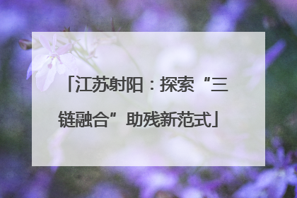 江苏射阳：探索“三链融合”助残新范式