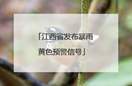 江西省发布暴雨黄色预警信号