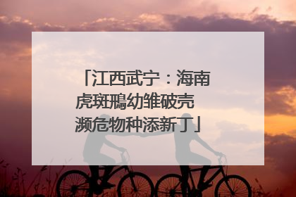 江西武宁：海南虎斑鳽幼雏破壳 濒危物种添新丁