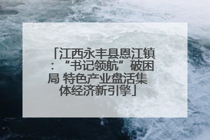 江西永丰县恩江镇：“书记领航”破困局 特色产业盘活集体经济新引擎