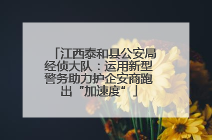 江西泰和县公安局经侦大队：运用新型警务助力护企安商跑出“加速度”
