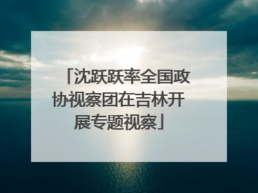 沈跃跃率全国政协视察团在吉林开展专题视察