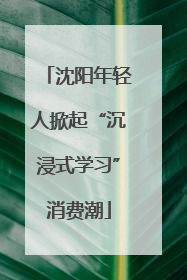 沈阳年轻人掀起“沉浸式学习”消费潮