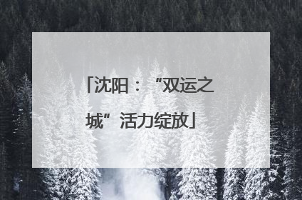 沈阳：“双运之城”活力绽放