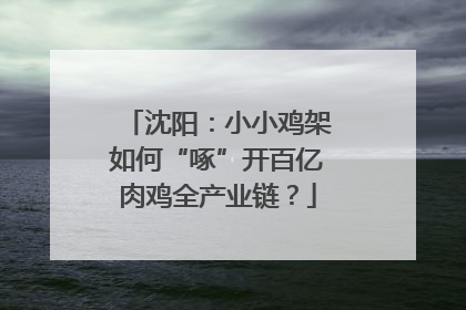 沈阳：小小鸡架如何“啄”开百亿肉鸡全产业链？