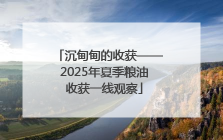 沉甸甸的收获——2025年夏季粮油收获一线观察