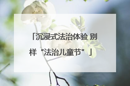 沉浸式法治体验 别样“法治儿童节”