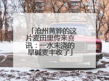 沧州黄骅的这片麦田里传来喜讯：一水未浇的旱碱麦丰收了