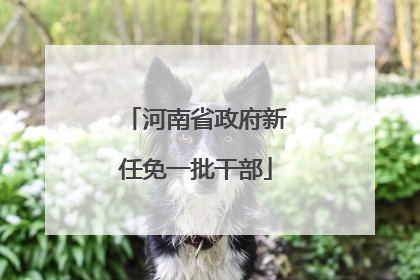 河南省政府新任免一批干部