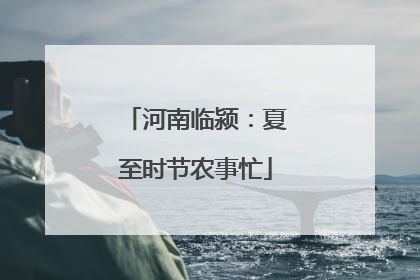 河南临颍：夏至时节农事忙