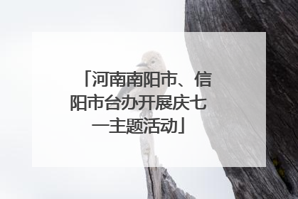 河南南阳市、信阳市台办开展庆七一主题活动